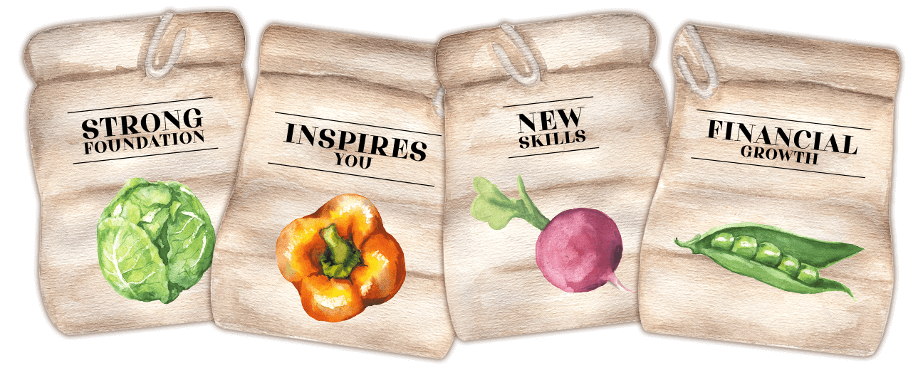 Four bags with different vegetables on them