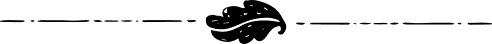 Line with leaf in the middle 